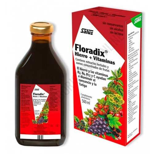 Floradix hierro Salus jarabe 500 ml.