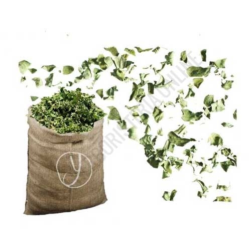 Moringa hojas Ygu 1 Kg.